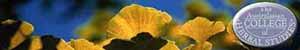 Herbs - Medicinal Herbs - Medicinal Herb Plants